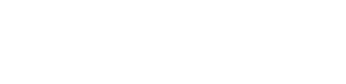 VS Cultural Foundation-reverse