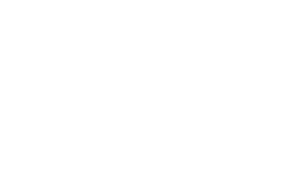 iron jorse pub-reverse
